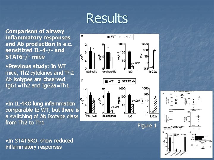 Results Comparison of airway inflammatory responses and Ab production in e. c. sensitized IL-4