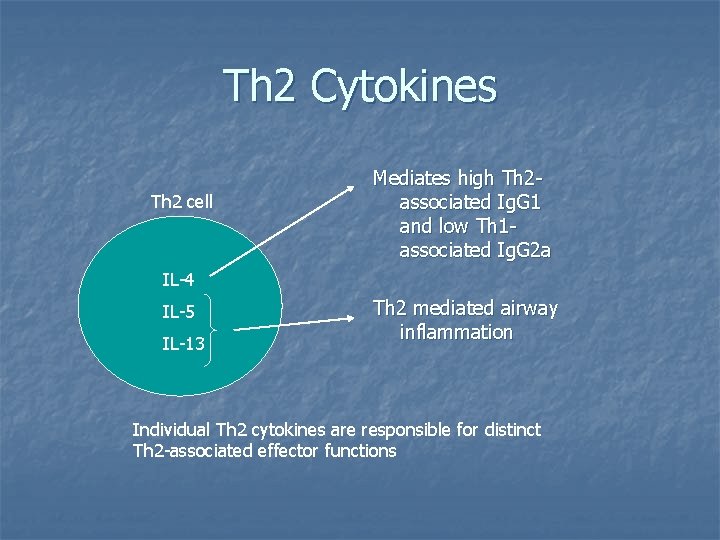 Th 2 Cytokines Th 2 cell Mediates high Th 2 associated Ig. G 1