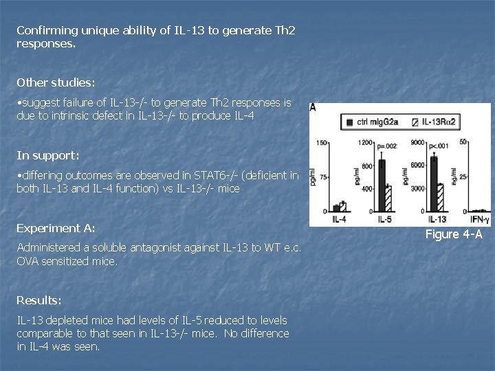 Confirming unique ability of IL-13 to generate Th 2 responses. Other studies: • suggest