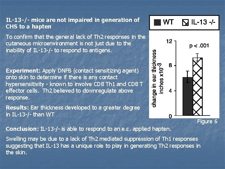 IL-13 -/- mice are not impaired in generation of CHS to a hapten To