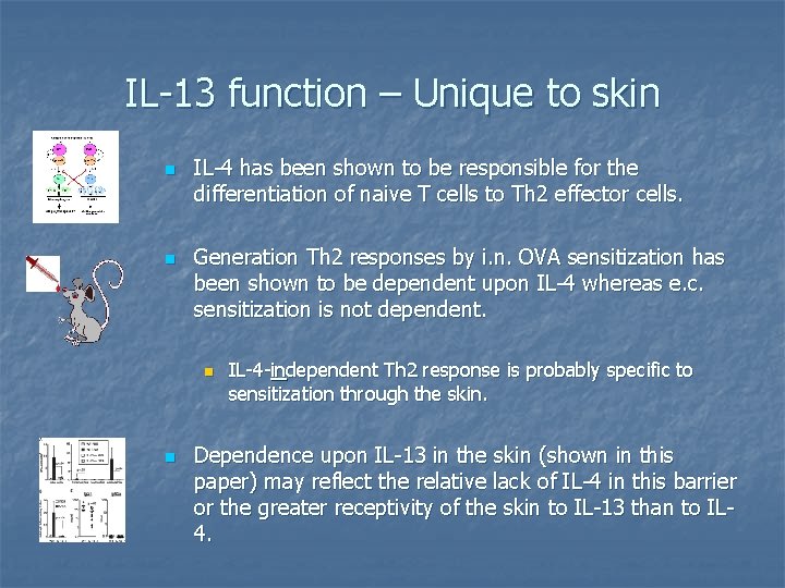 IL-13 function – Unique to skin n n IL-4 has been shown to be