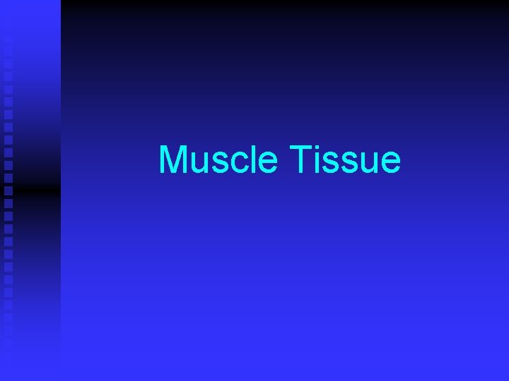 Muscle Tissue 