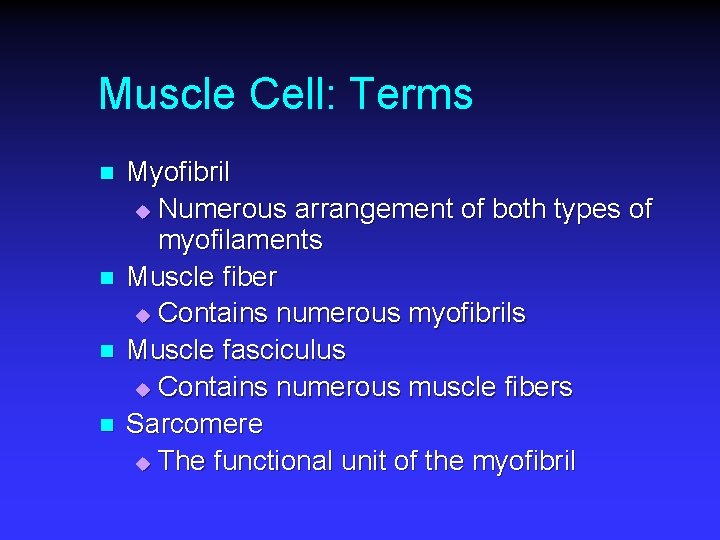 Muscle Cell: Terms n n Myofibril u Numerous arrangement of both types of myofilaments