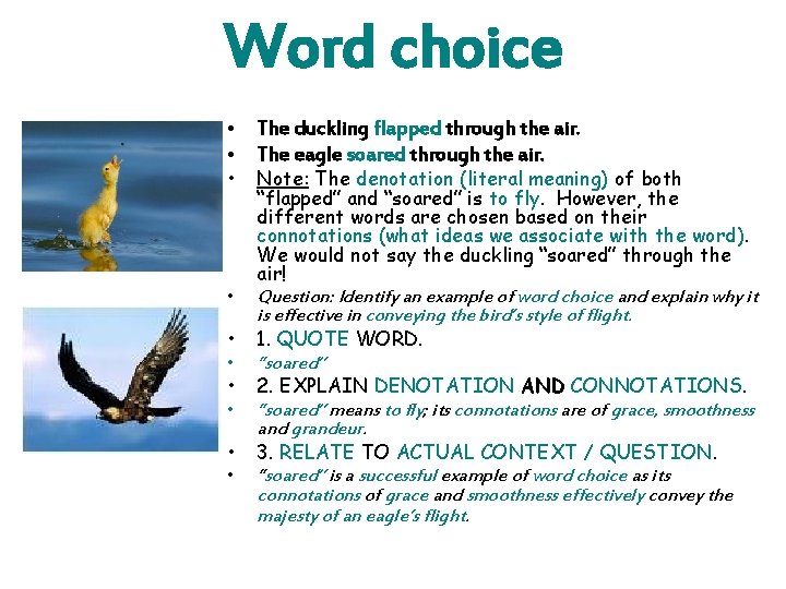Word choice • The duckling flapped through the air. • The eagle soared through