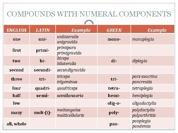 COMPOUNDS WITH NUMERAL COMPONENTS ENGLISH LATIN one uni- first primi- two bi- second secundi-