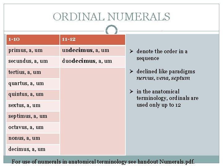 ORDINAL NUMERALS 1 -10 11 -12 primus, a, um undecimus, a, um secundus, a,