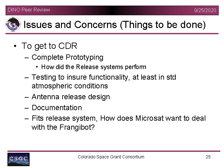 DINO Peer Review 9/25/2020 Issues and Concerns (Things to be done) • To get