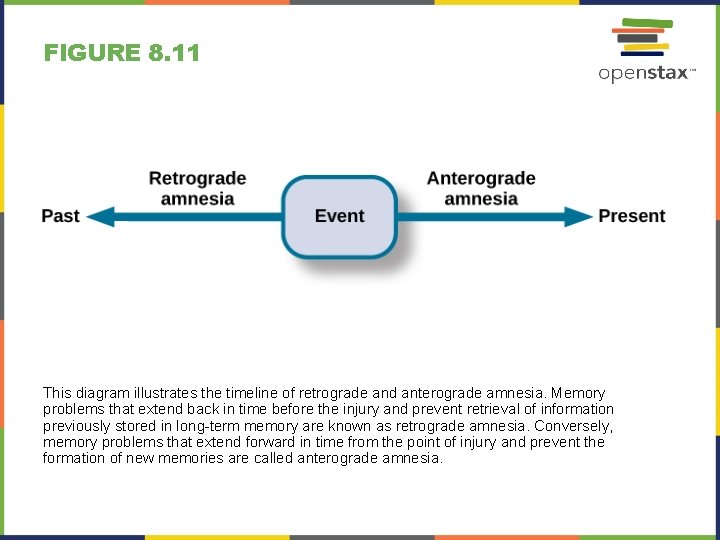 FIGURE 8. 11 This diagram illustrates the timeline of retrograde and anterograde amnesia. Memory