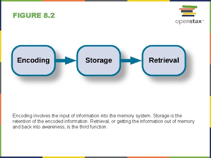 FIGURE 8. 2 Encoding involves the input of information into the memory system. Storage