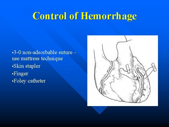 Control of Hemorrhage • 3 -0 non-adsorbable suture – use mattress technique • Skin
