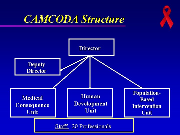 CAMCODA Structure Director Deputy Director Medical Consequence Unit Human Development Unit Staff: 20 Professionals CAMCODA Structure Director Deputy Director Medical Consequence Unit Human Development Unit Staff: 20 Professionals