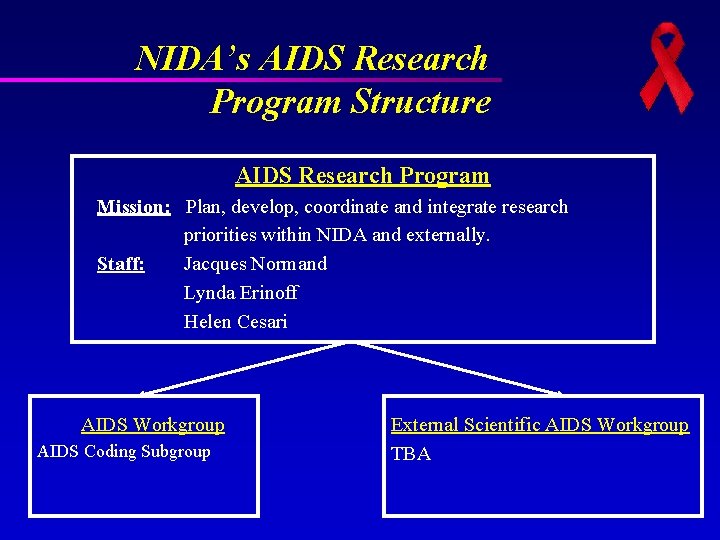 NIDA’s AIDS Research Program Structure AIDS Research Program Mission: Plan, develop, coordinate and integrate NIDA’s AIDS Research Program Structure AIDS Research Program Mission: Plan, develop, coordinate and integrate