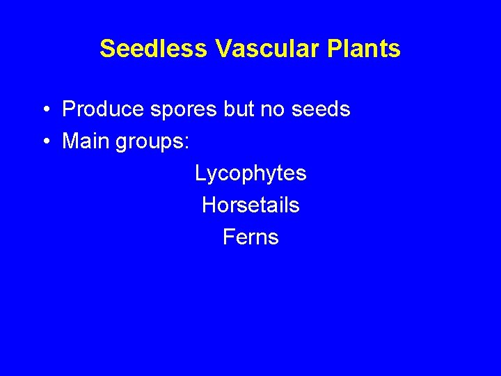 Seedless Vascular Plants • Produce spores but no seeds • Main groups: Lycophytes Horsetails