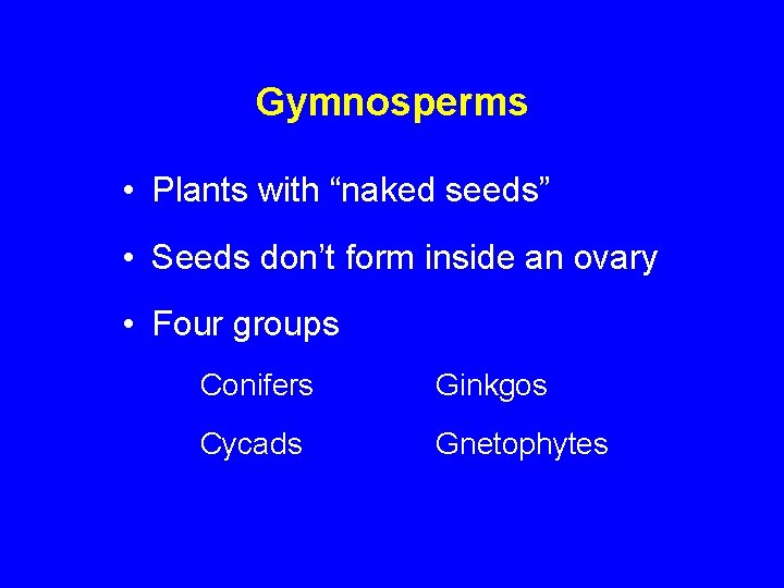 Gymnosperms • Plants with “naked seeds” • Seeds don’t form inside an ovary •