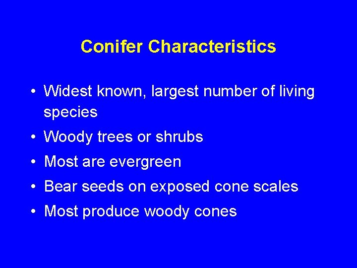 Conifer Characteristics • Widest known, largest number of living species • Woody trees or