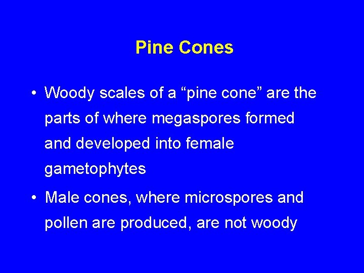 Pine Cones • Woody scales of a “pine cone” are the parts of where