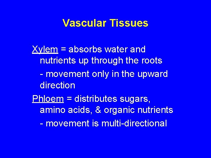 Vascular Tissues Xylem = absorbs water and nutrients up through the roots - movement