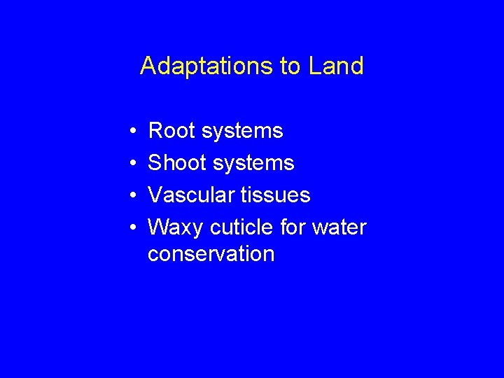 Adaptations to Land • • Root systems Shoot systems Vascular tissues Waxy cuticle for