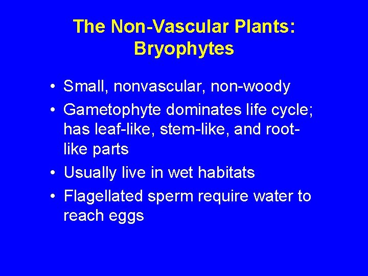The Non-Vascular Plants: Bryophytes • Small, nonvascular, non-woody • Gametophyte dominates life cycle; has