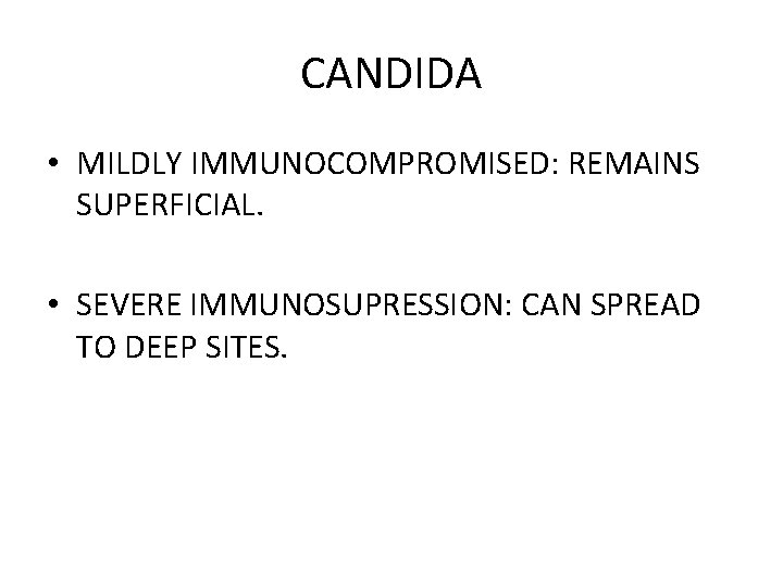 CANDIDA • MILDLY IMMUNOCOMPROMISED: REMAINS SUPERFICIAL. • SEVERE IMMUNOSUPRESSION: CAN SPREAD TO DEEP SITES.