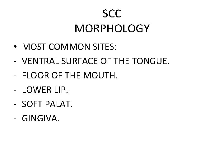 SCC MORPHOLOGY • - MOST COMMON SITES: VENTRAL SURFACE OF THE TONGUE. FLOOR OF