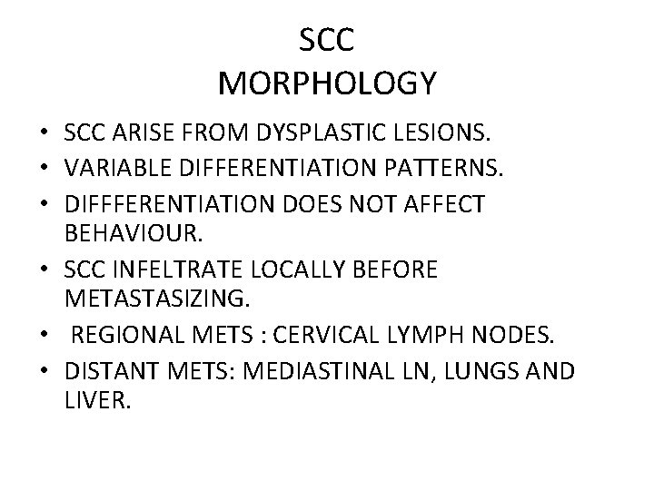 SCC MORPHOLOGY • SCC ARISE FROM DYSPLASTIC LESIONS. • VARIABLE DIFFERENTIATION PATTERNS. • DIFFFERENTIATION