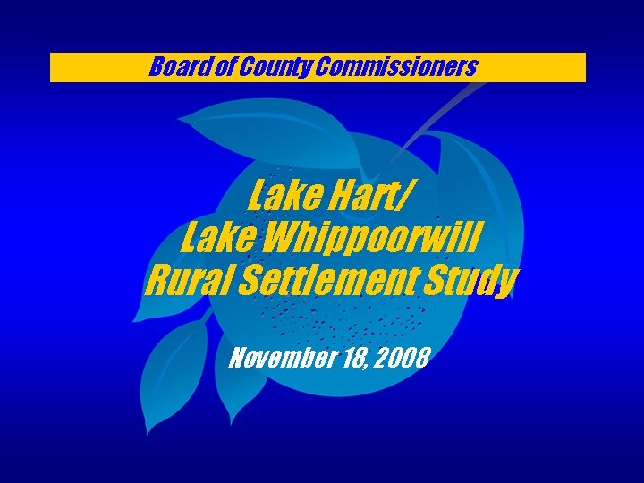 Board of County Commissioners Lake Hart/ Lake Whippoorwill Rural Settlement Study November 18, 2008