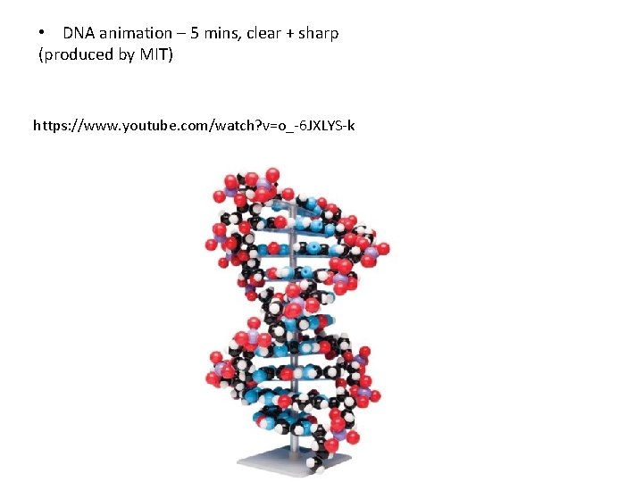  • DNA animation – 5 mins, clear + sharp (produced by MIT) https: