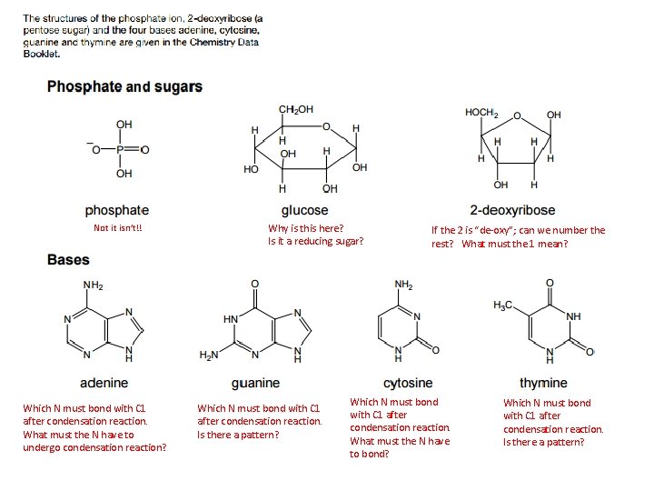 Not it isn’t!! Which N must bond with C 1 after condensation reaction. What