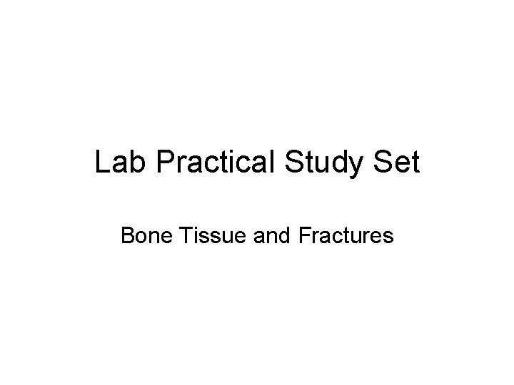 Lab Practical Study Set Bone Tissue and Fractures 