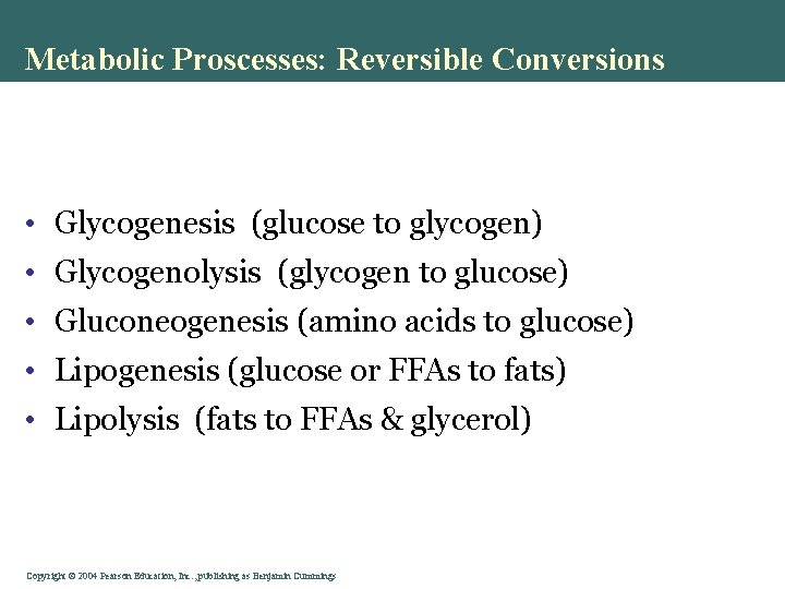 Metabolic Proscesses: Reversible Conversions • Glycogenesis (glucose to glycogen) • Glycogenolysis (glycogen to glucose)