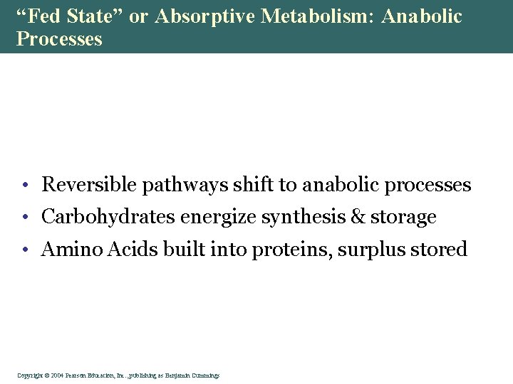 “Fed State” or Absorptive Metabolism: Anabolic Processes • Reversible pathways shift to anabolic processes