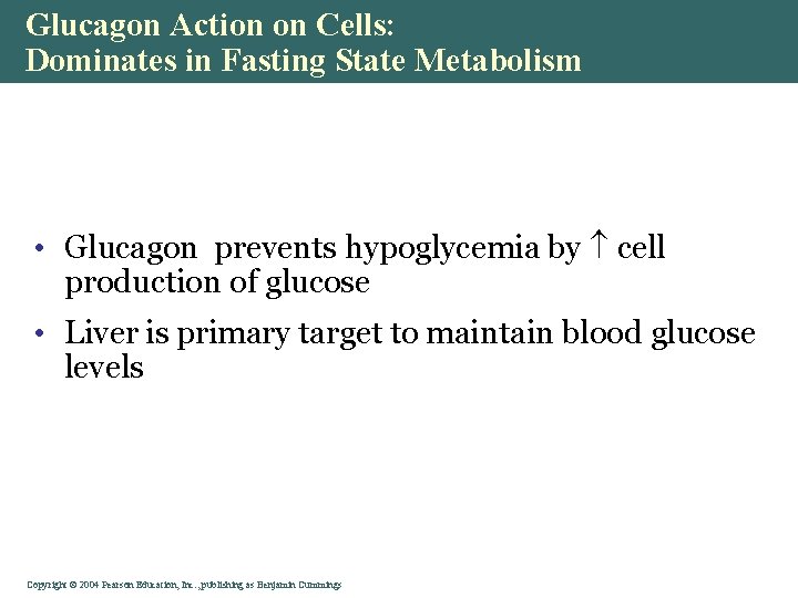 Glucagon Action on Cells: Dominates in Fasting State Metabolism • Glucagon prevents hypoglycemia by