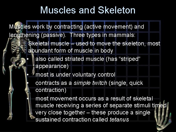 Muscles and Skeleton Muscles work by contracting (active movement) and lengthening (passive). Three types