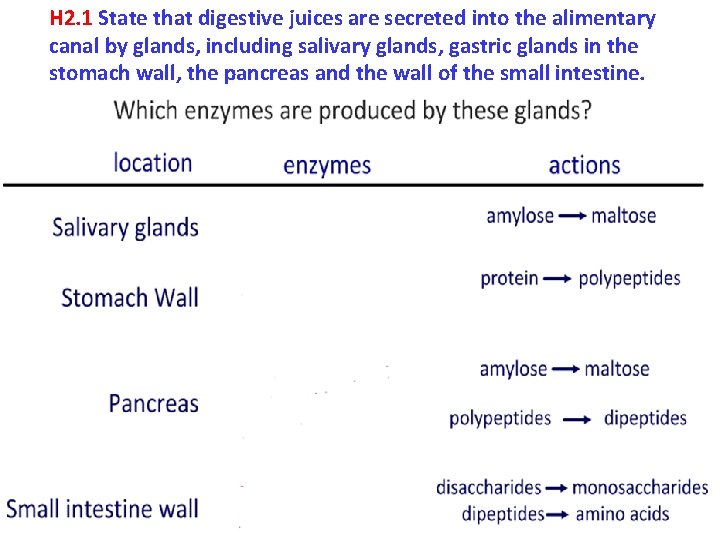 H 2. 1 State that digestive juices are secreted into the alimentary canal by