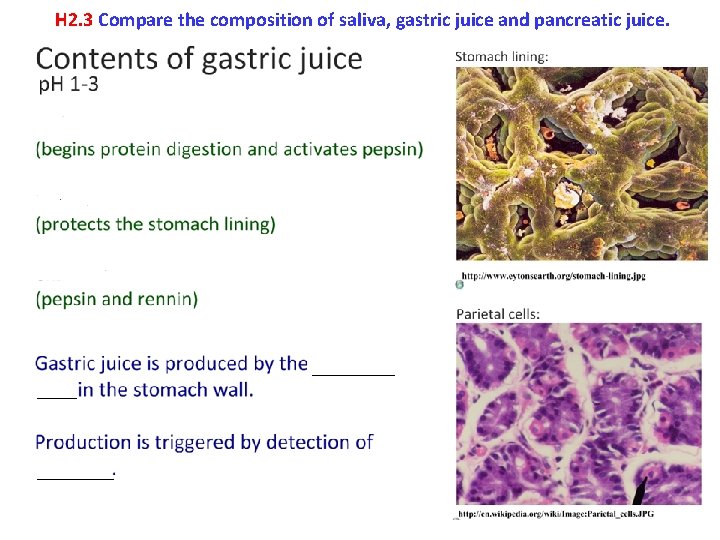 H 2. 3 Compare the composition of saliva, gastric juice and pancreatic juice. 