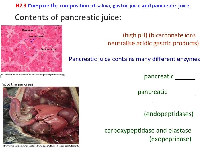 H 2. 3 Compare the composition of saliva, gastric juice and pancreatic juice. 