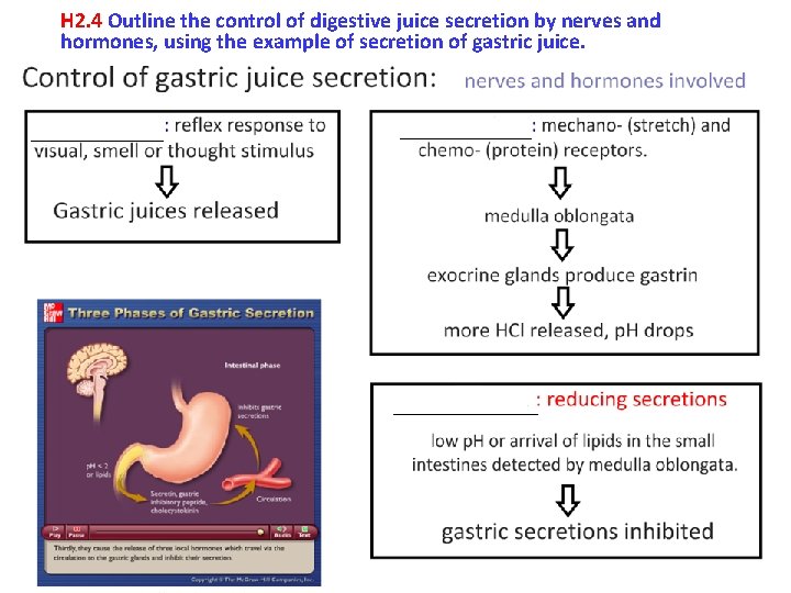 H 2. 4 Outline the control of digestive juice secretion by nerves and hormones,