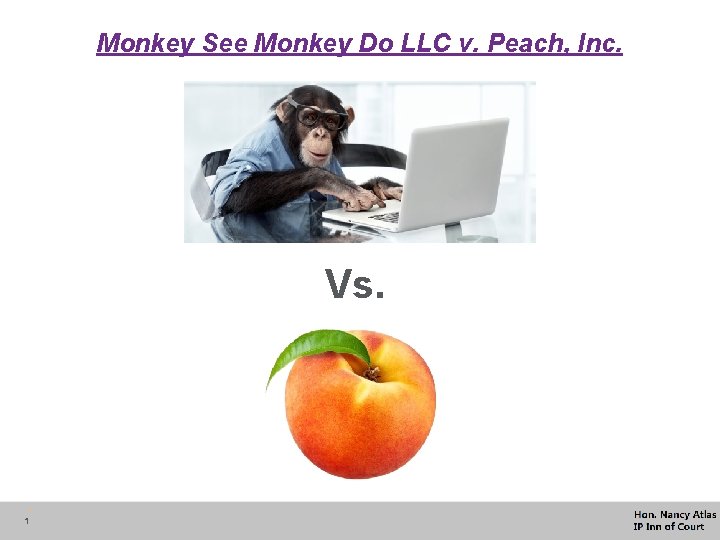Monkey See Monkey Do LLC v. Peach, Inc. Vs. 1 