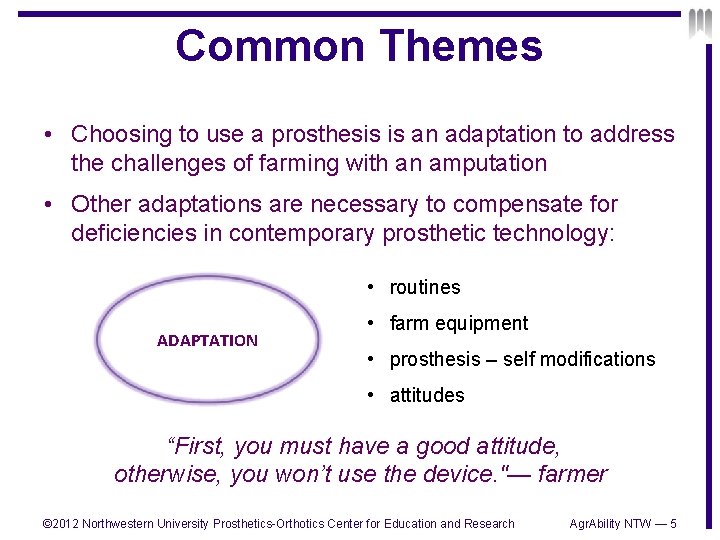 Common Themes • Choosing to use a prosthesis is an adaptation to address the