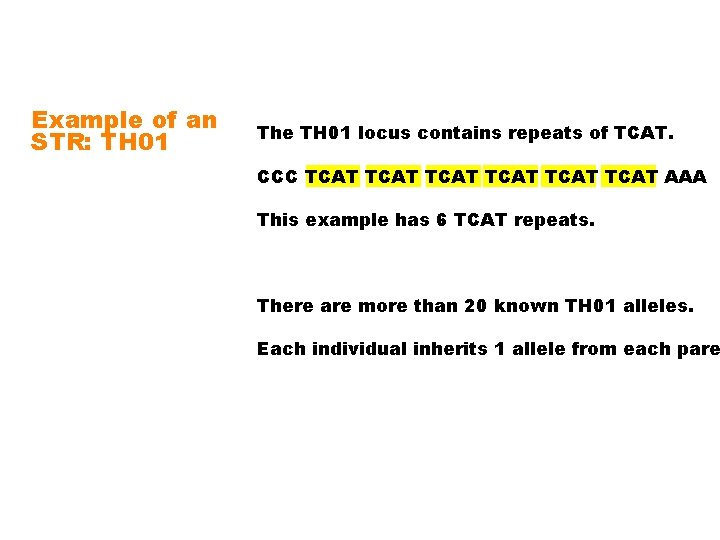 Example of an STR: TH 01 The TH 01 locus contains repeats of TCAT.