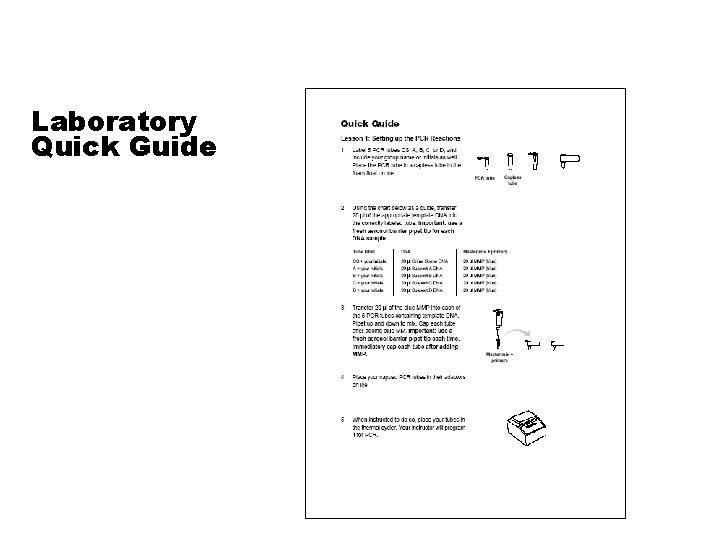 Laboratory Quick Guide 