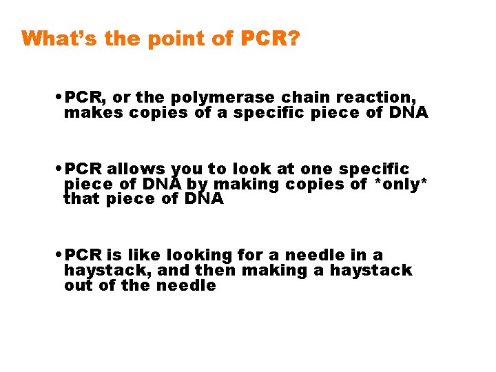 What’s the point of PCR? • PCR, or the polymerase chain reaction, makes copies