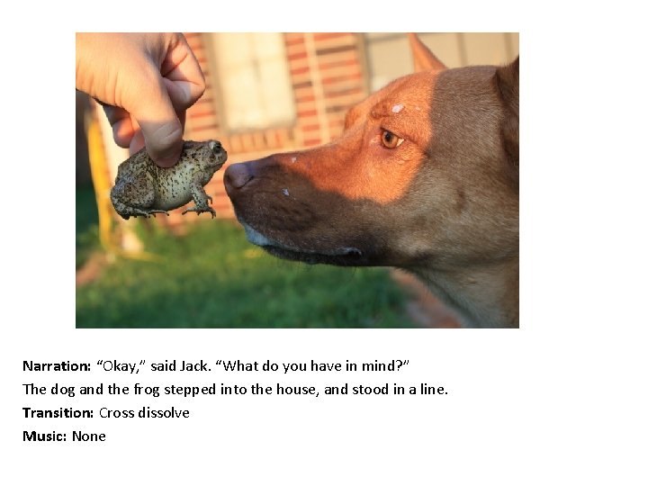 Narration: “Okay, ” said Jack. “What do you have in mind? ” The dog