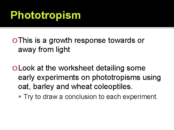 Phototropism This is a growth response towards or away from light Look at the