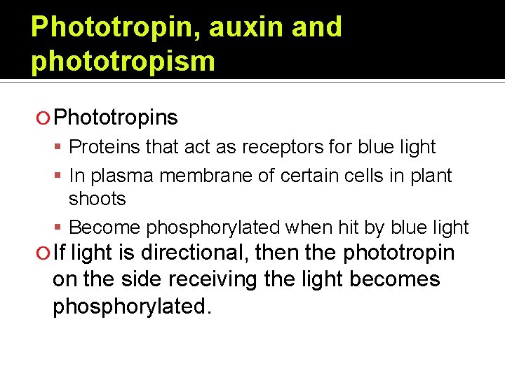 Phototropin, auxin and phototropism Phototropins Proteins that act as receptors for blue light In