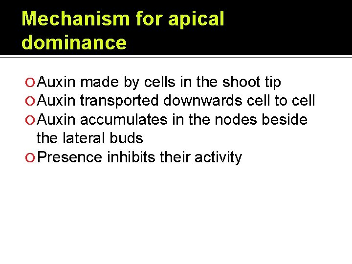 Mechanism for apical dominance Auxin made by cells in the shoot tip transported downwards