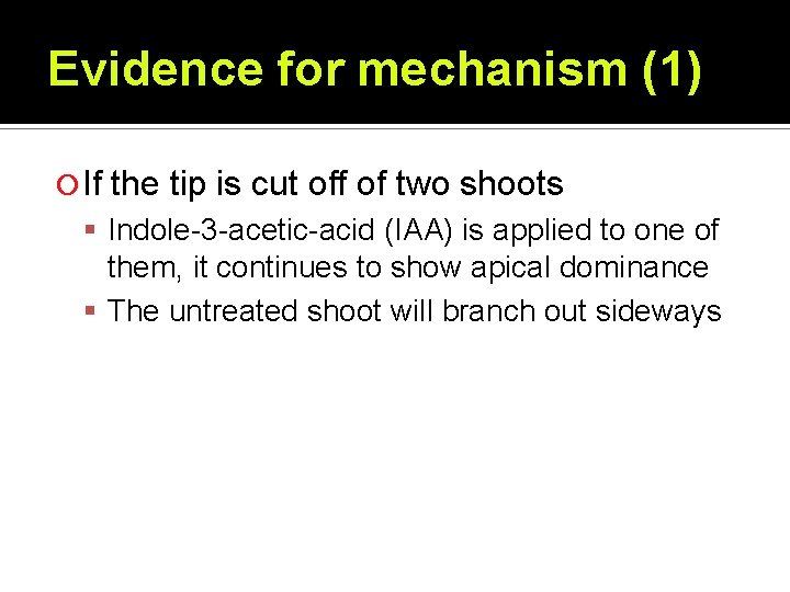 Evidence for mechanism (1) If the tip is cut off of two shoots Indole-3 Evidence for mechanism (1) If the tip is cut off of two shoots Indole-3