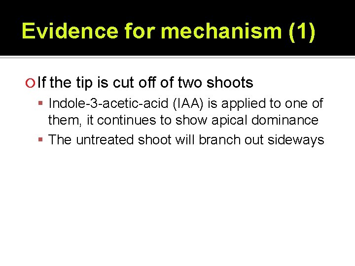 Evidence for mechanism (1) If the tip is cut off of two shoots Indole-3