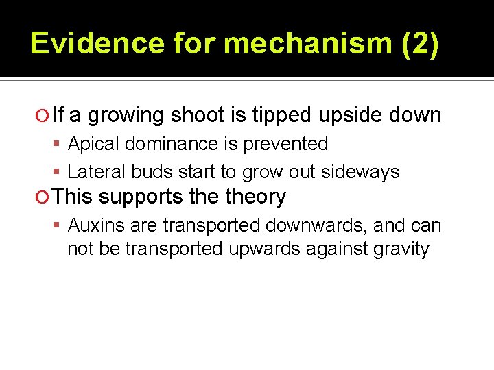 Evidence for mechanism (2) If a growing shoot is tipped upside down Apical dominance Evidence for mechanism (2) If a growing shoot is tipped upside down Apical dominance